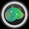 Shell Amulet